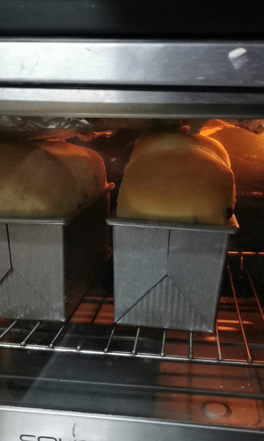 蛋奶吐司(中种)的做法