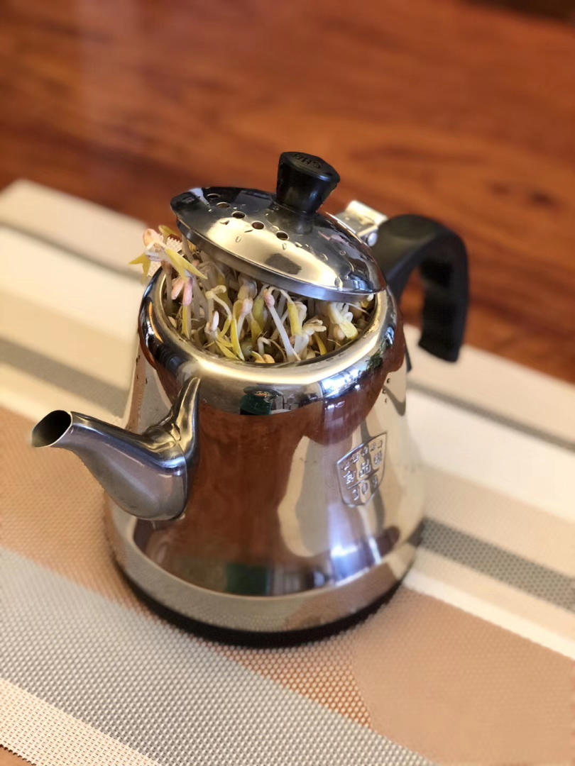 自发绿豆芽