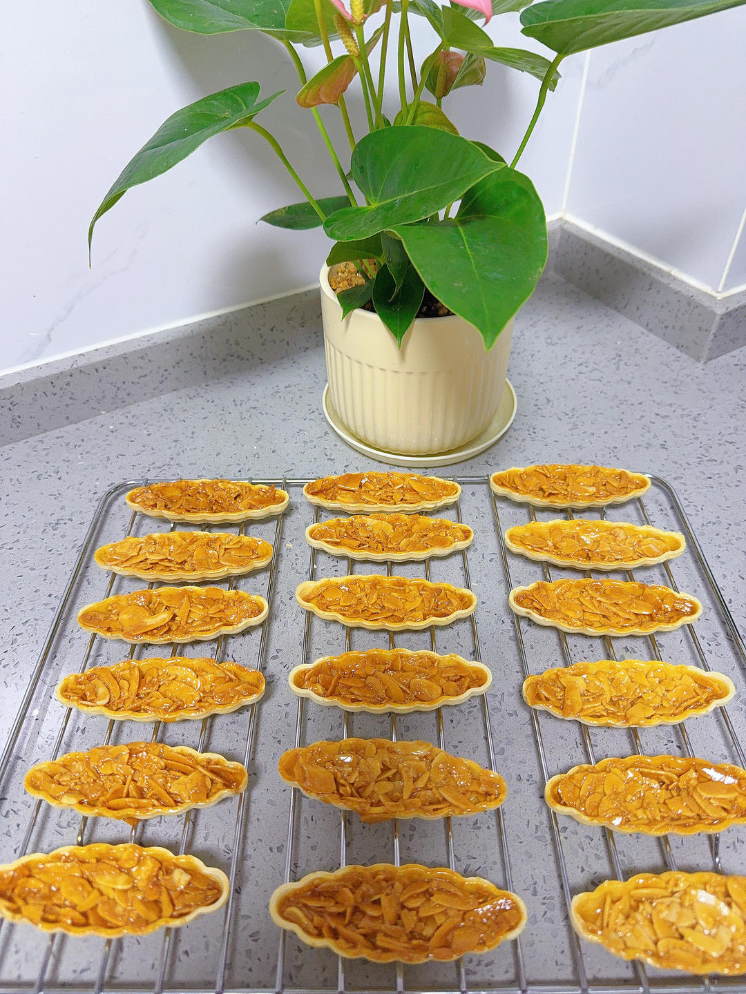 视频🚢一次搞定3种口味｜焦糖坚果糯米船｜不测温，不冷冻｜低糖｜简单｜0难度