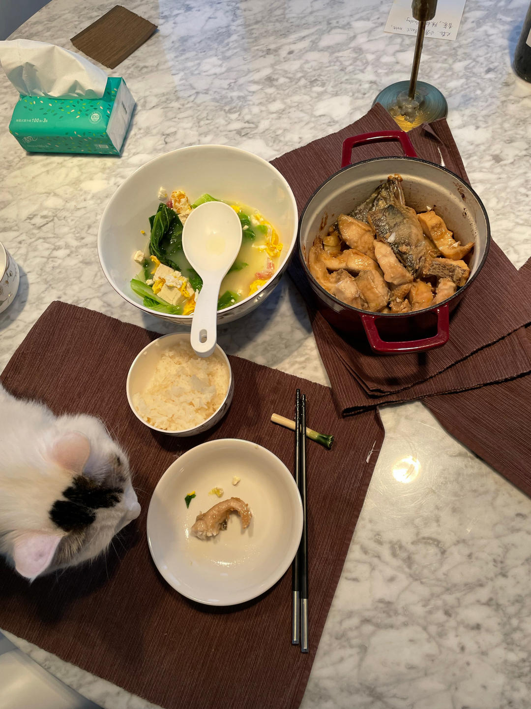 奶白小白菜（零难度）