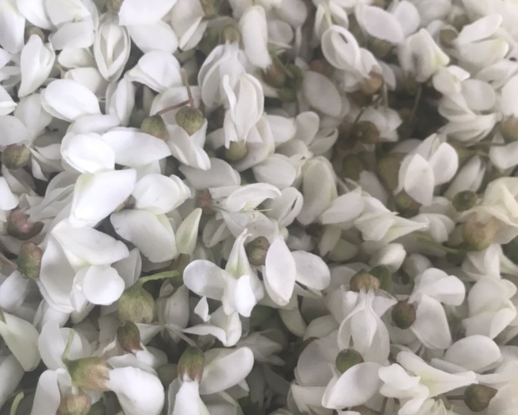 步骤图 美味树上菜 槐花炒鸡蛋 附两种槐花保存方法 的做法 美味树上菜 槐花炒鸡蛋 附两种槐花保存方法 的做法步骤 菜谱 下厨房 步骤图 美味树上菜 槐花炒鸡蛋 附两种槐花保存方法 的做法 美味树上菜 槐花炒鸡蛋 附两种槐花保存方法 的做法步骤 菜谱 下厨房