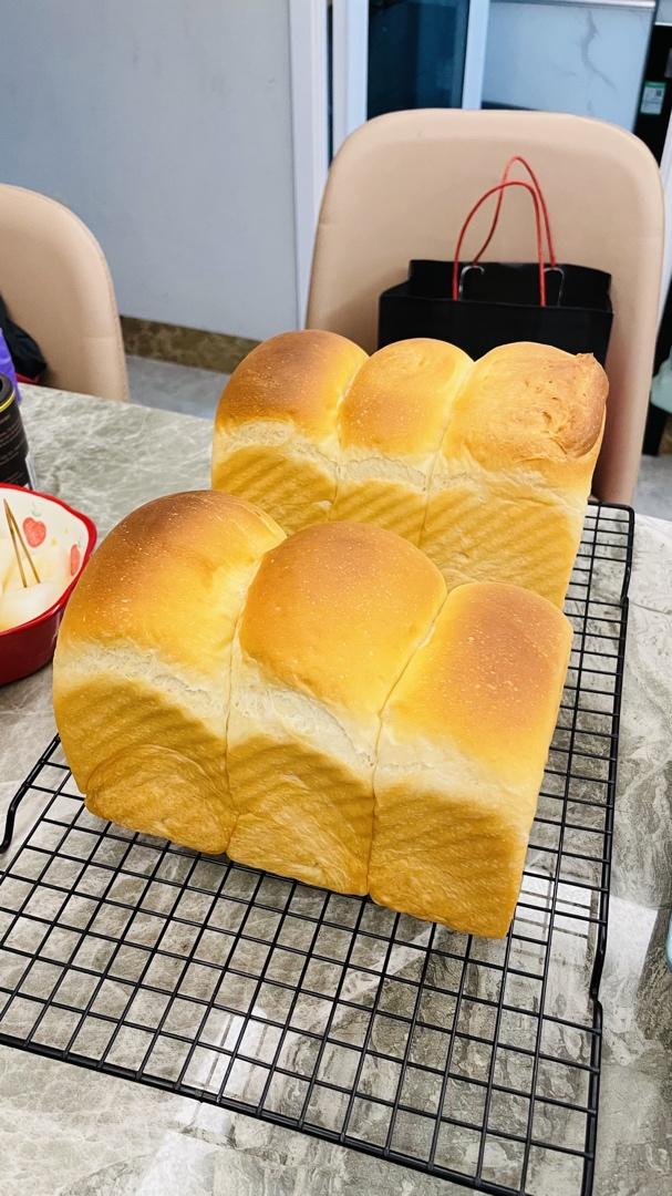 吐司不长个原因分析