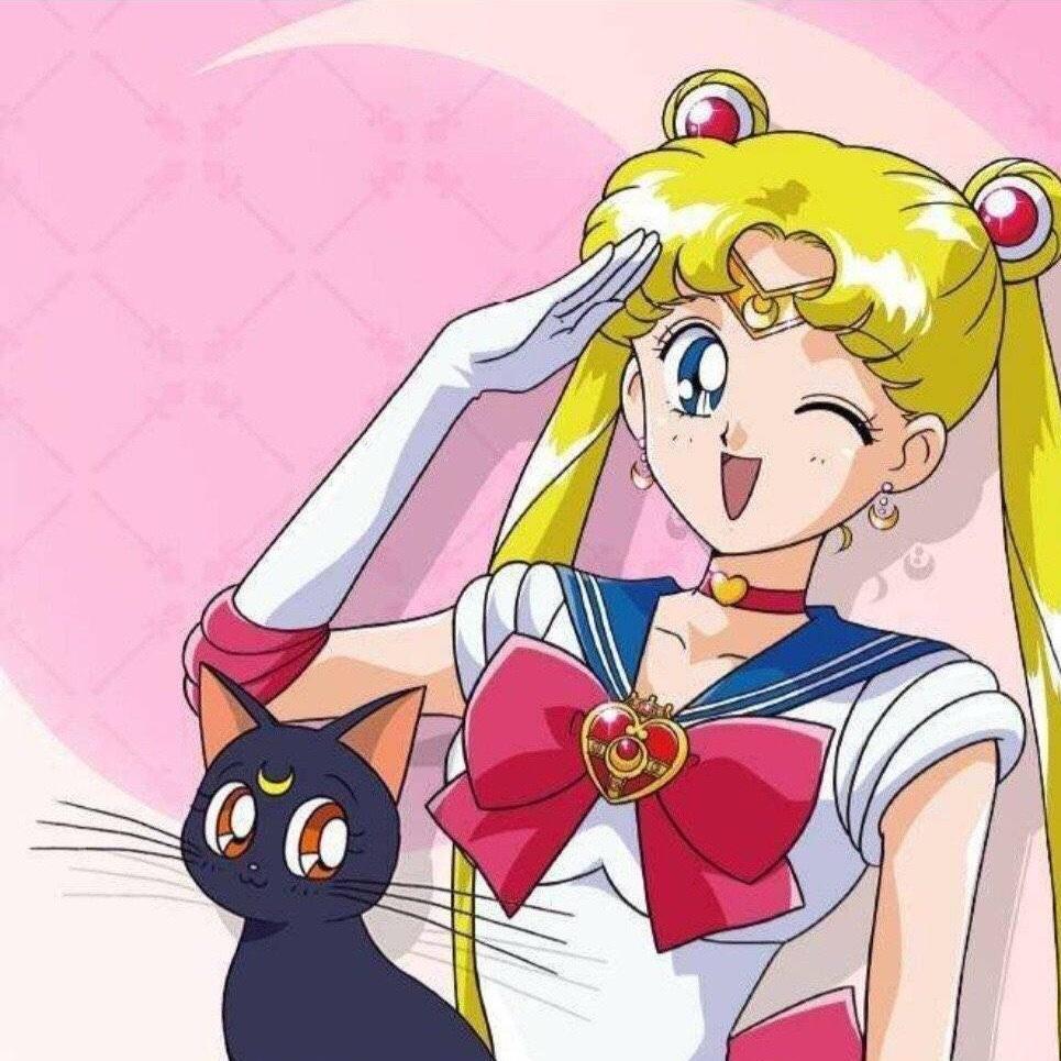 阿播吃的鹅佛哥