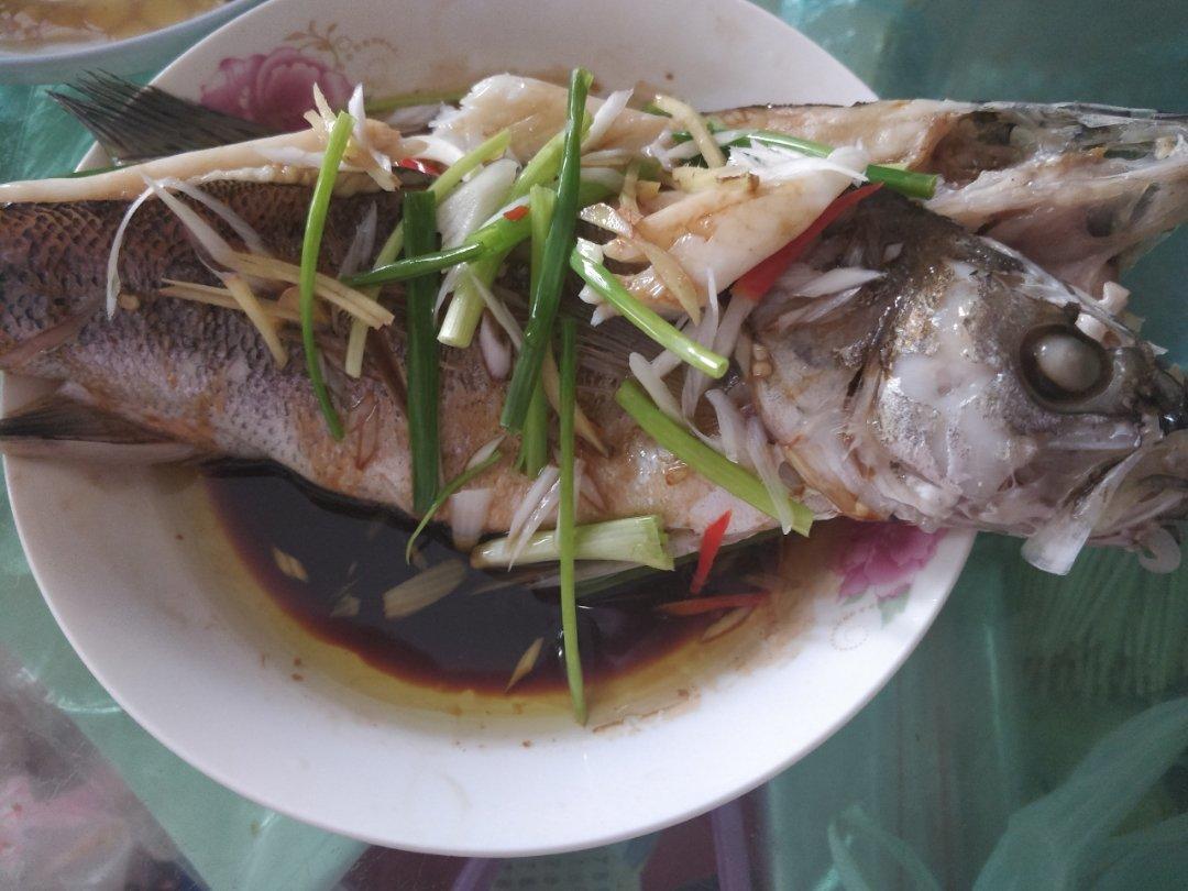 清蒸鲈鱼