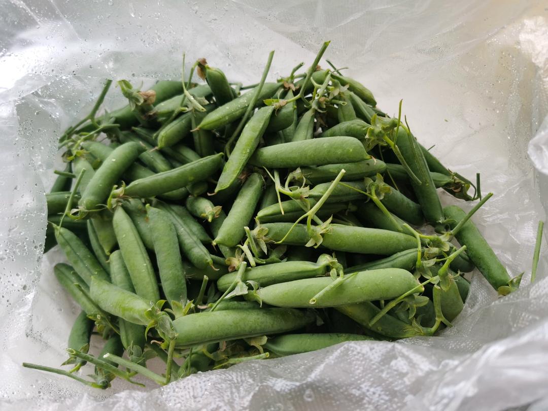 【4月北鼎蒸炖锅食谱】南瓜豆沙包