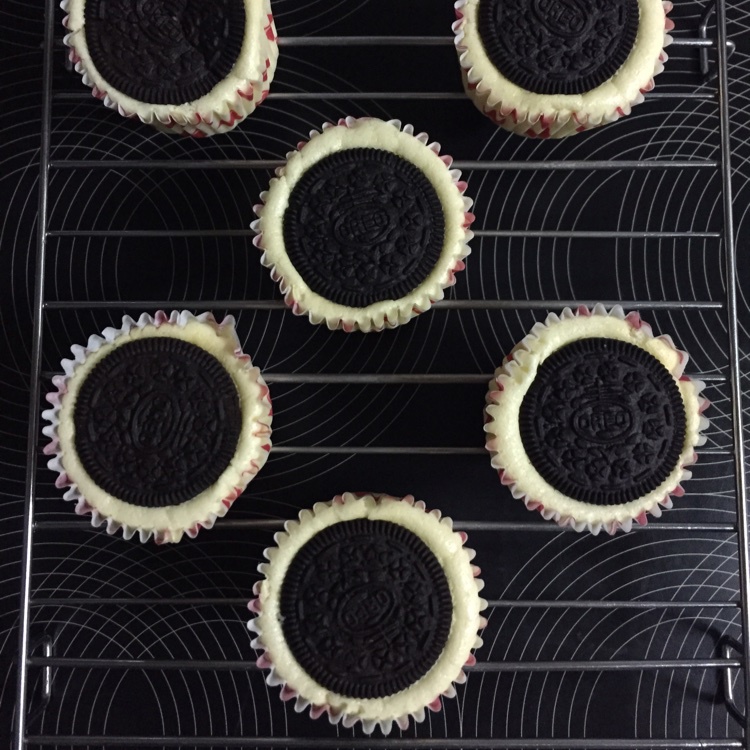 奥利奥迷你乳酪蛋糕