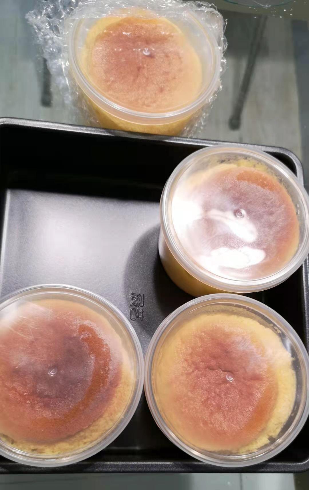 轻乳酪蛋糕