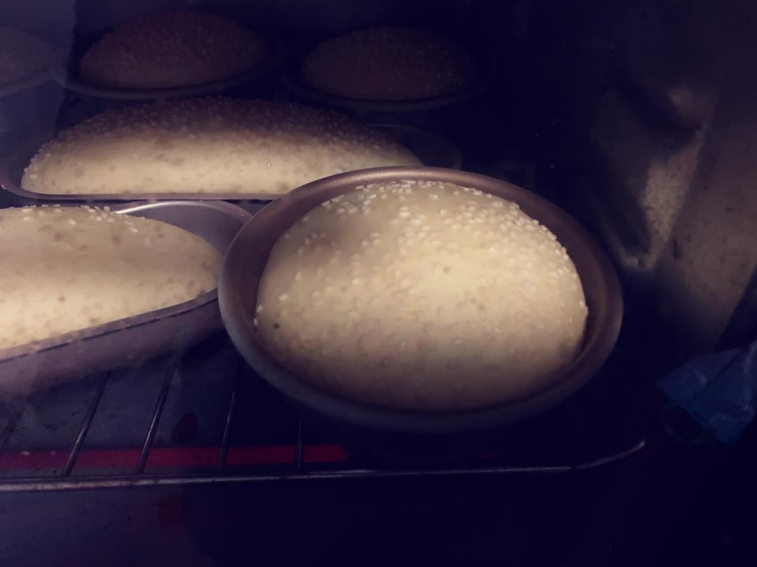 汉堡胚 poolish（波兰种）