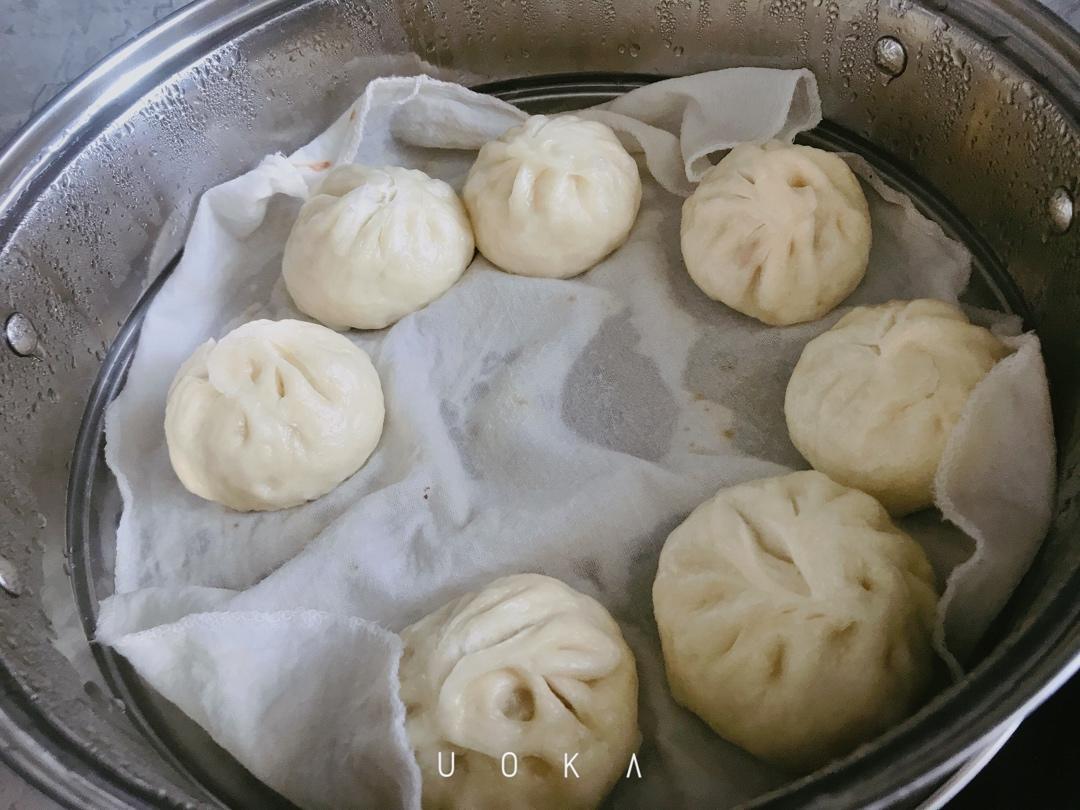 猪肉包子（附视频。一次性发酵。）