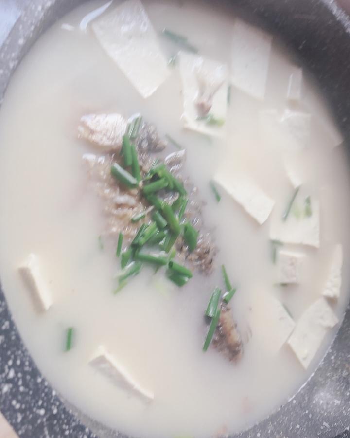 奶白鲫鱼豆腐汤|一条鱼最后的温柔