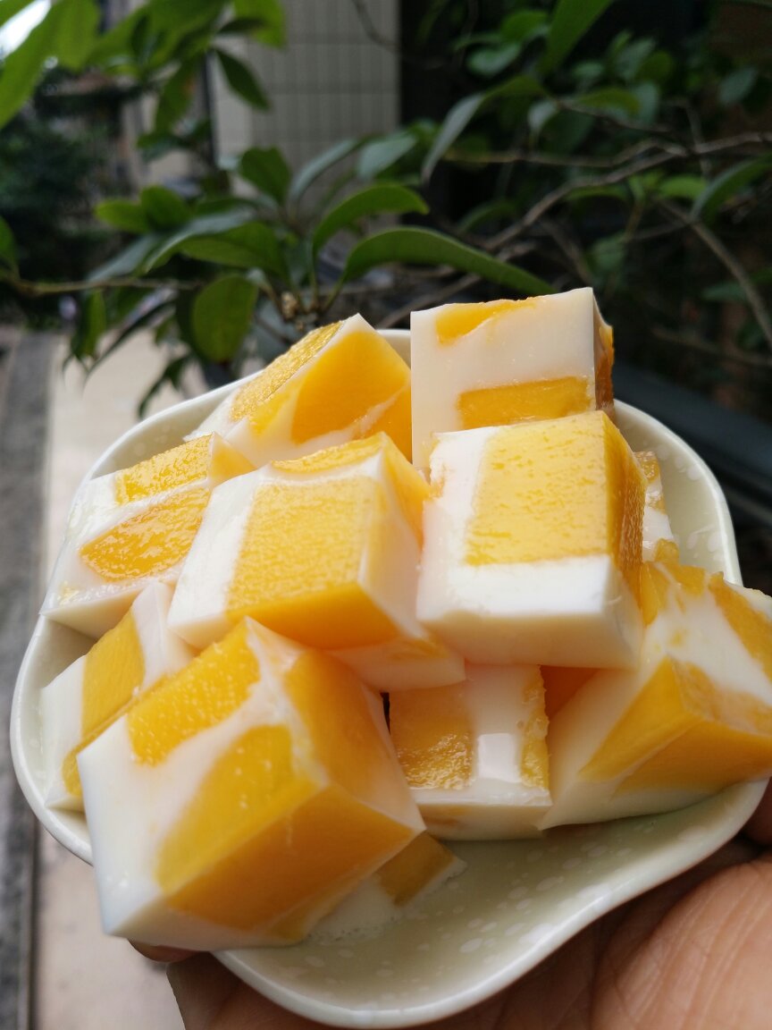 芒果牛奶果冻