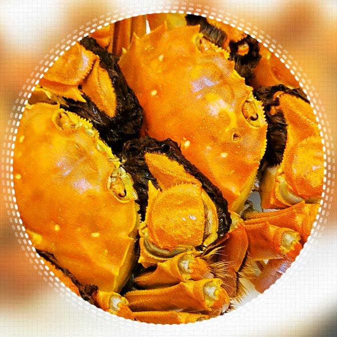江南熟醉蟹