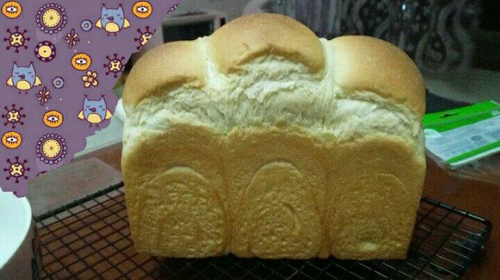 记录自己一路走来的面包