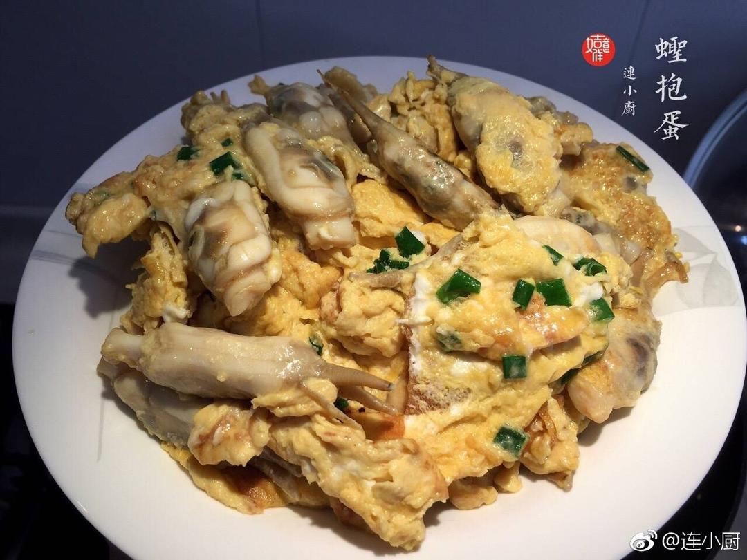 蛏抱蛋
