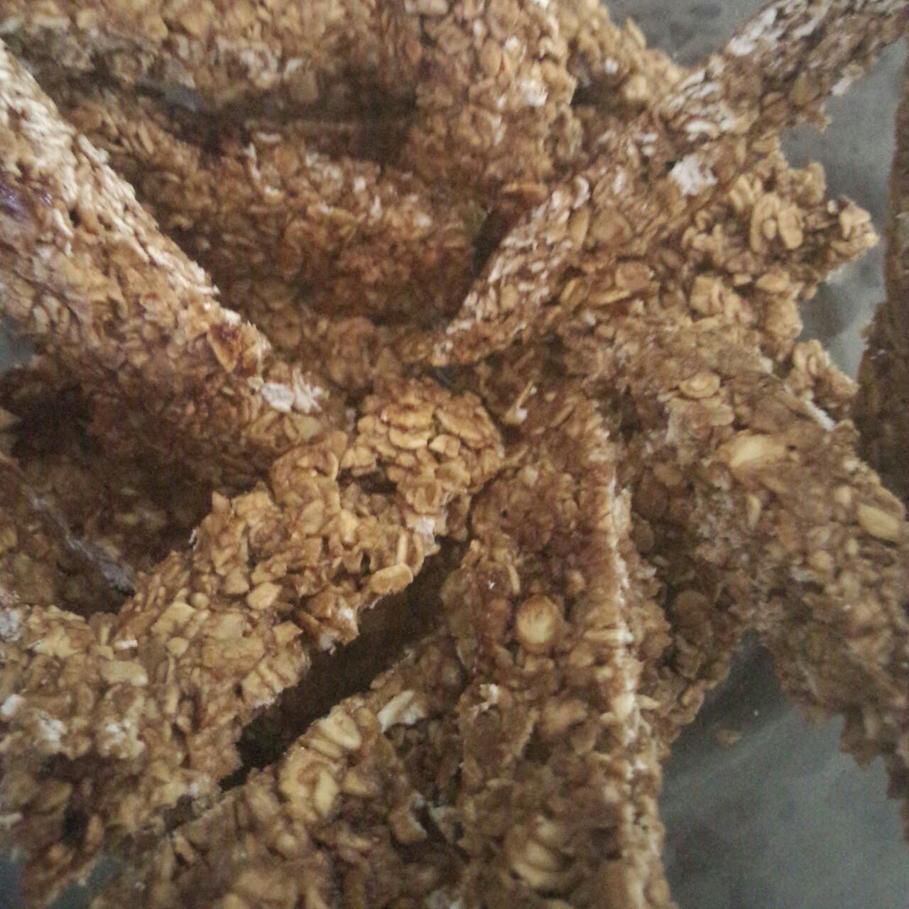 燕麦饼干