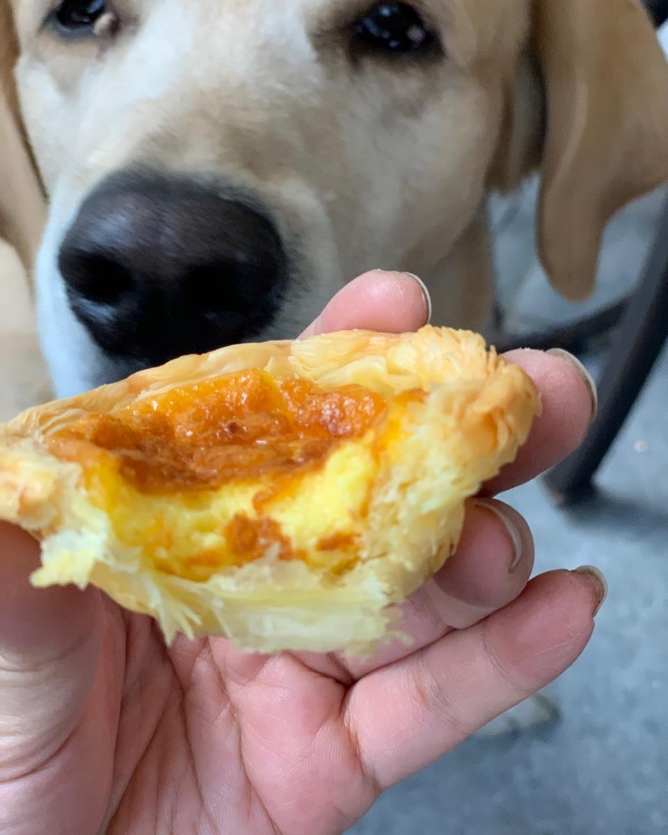 零失败葡式蛋挞液