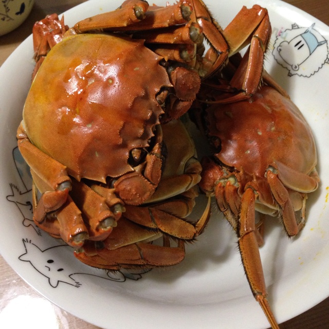 清蒸大闸蟹