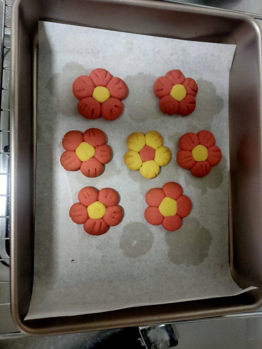 小红花 二刷