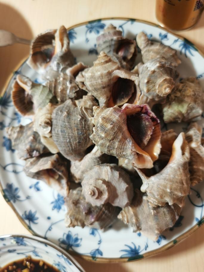 水煮大连海螺