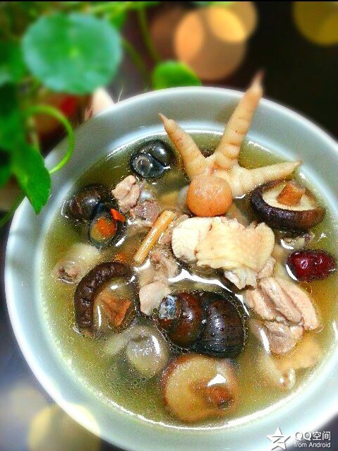爱丽远做的田螺煲鸡汤