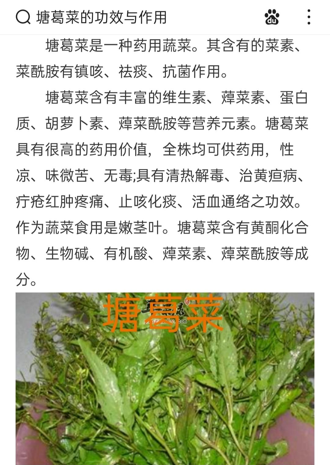 鸡药菜陈肾猪骨汤