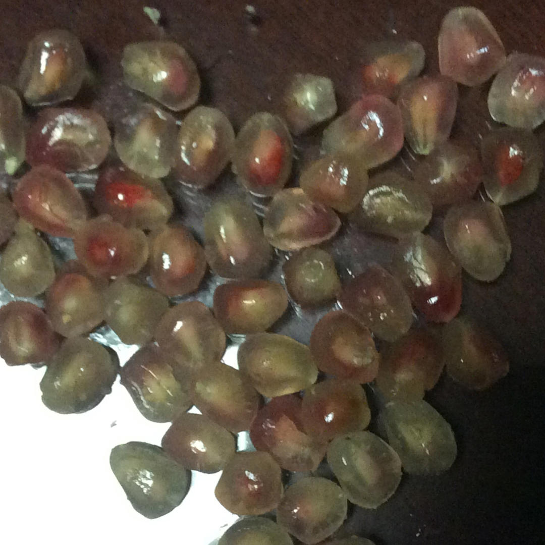 史上最强剥石榴法