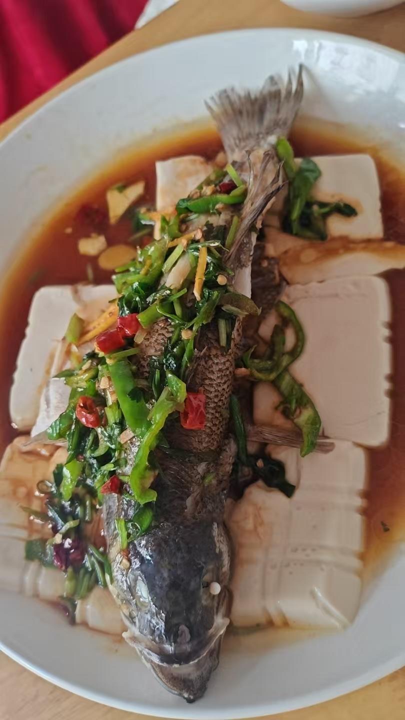 15分钟蒸菜｜鲜味豆腐蒸鱼