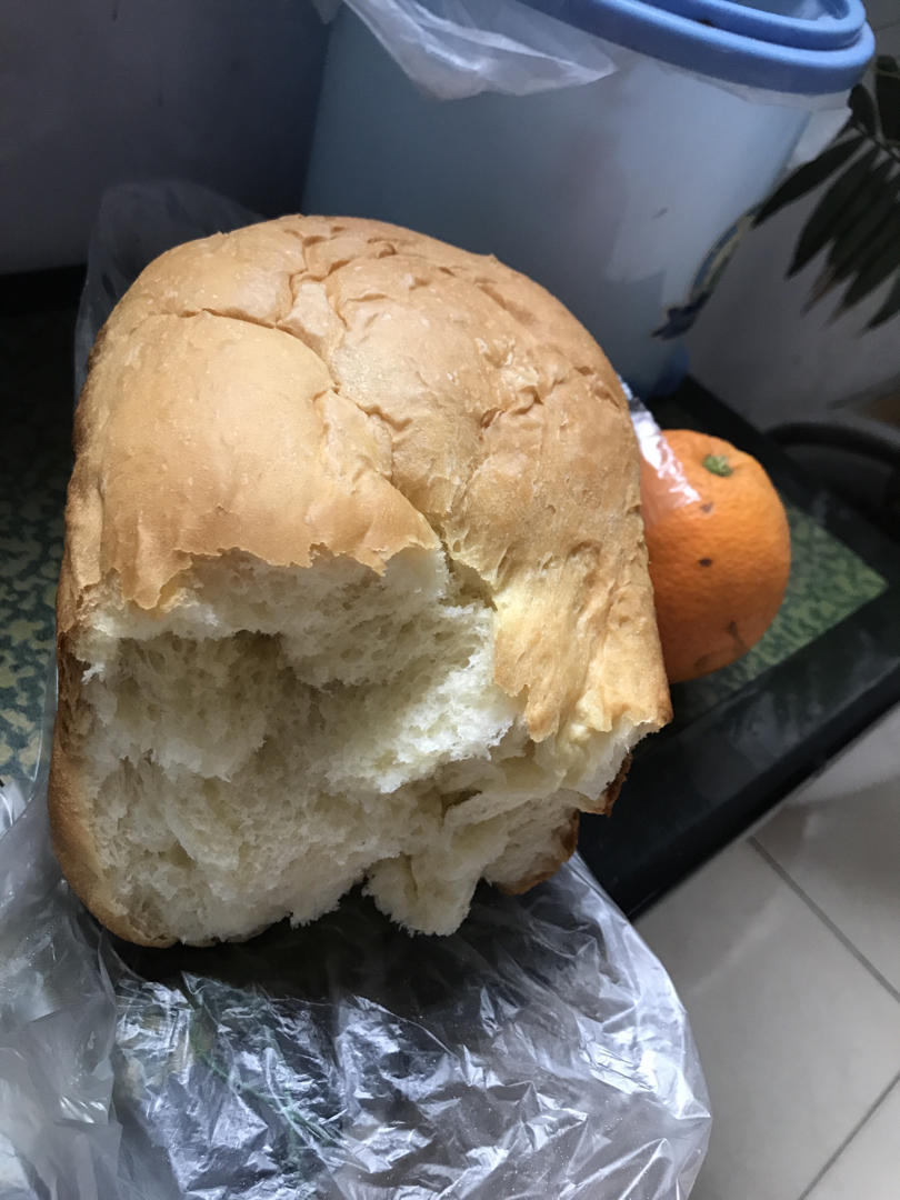 东菱面包机做面包