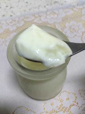 超好吃的烤箱自制酸奶（奶粉+盒装酸奶发酵法
）的做法 步骤6