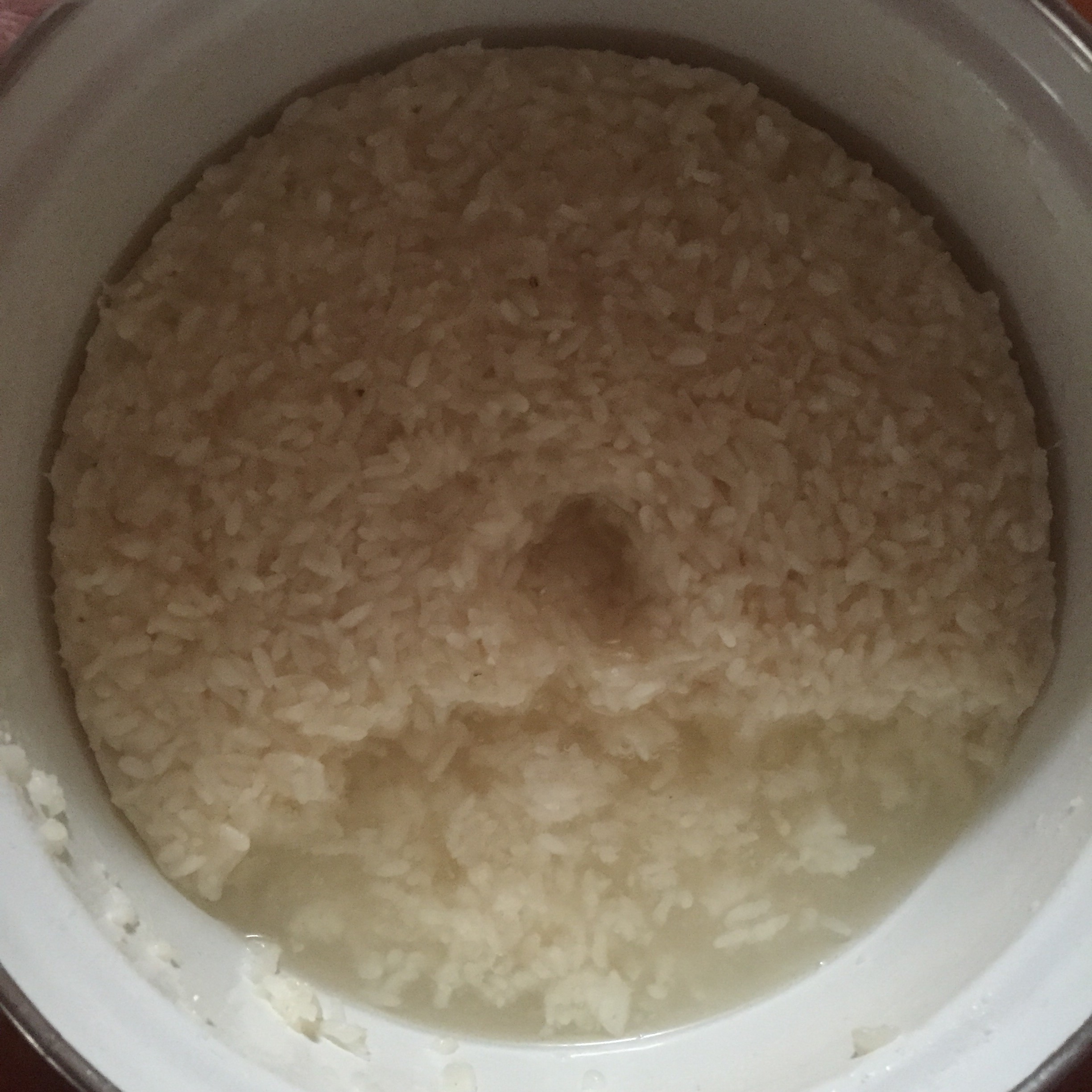 酒酿 (酒酿系列一）