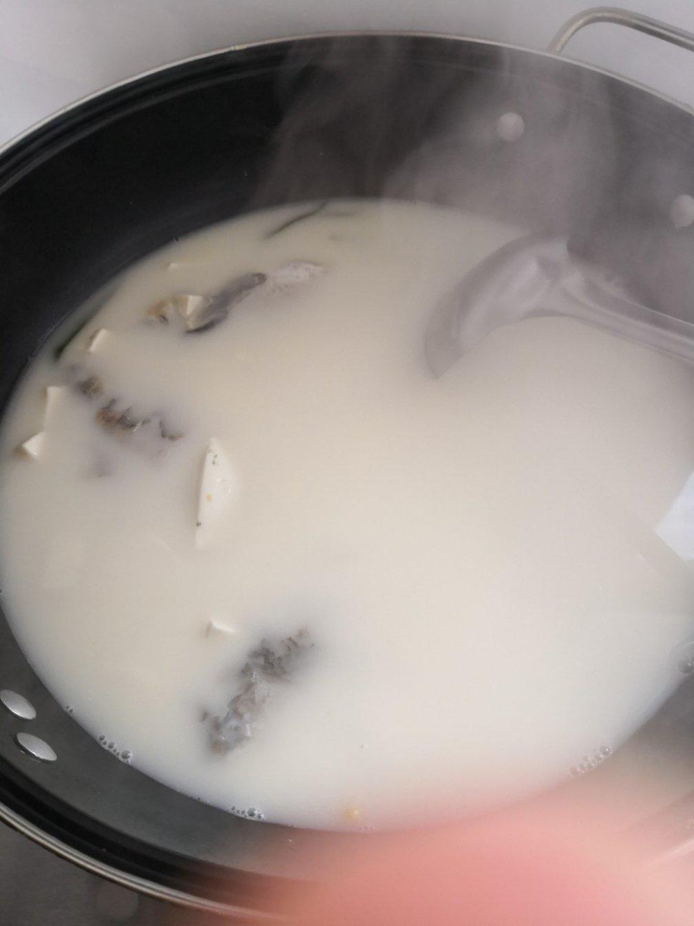 奶白鱼汤