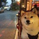 爱做饭的菇凉hhh