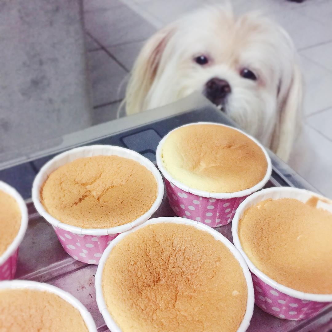 不回缩杯子蛋糕cupcake