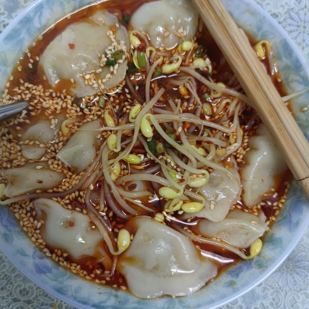 巨好吃酸爽的酸汤水饺