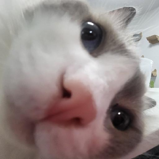 RheaW