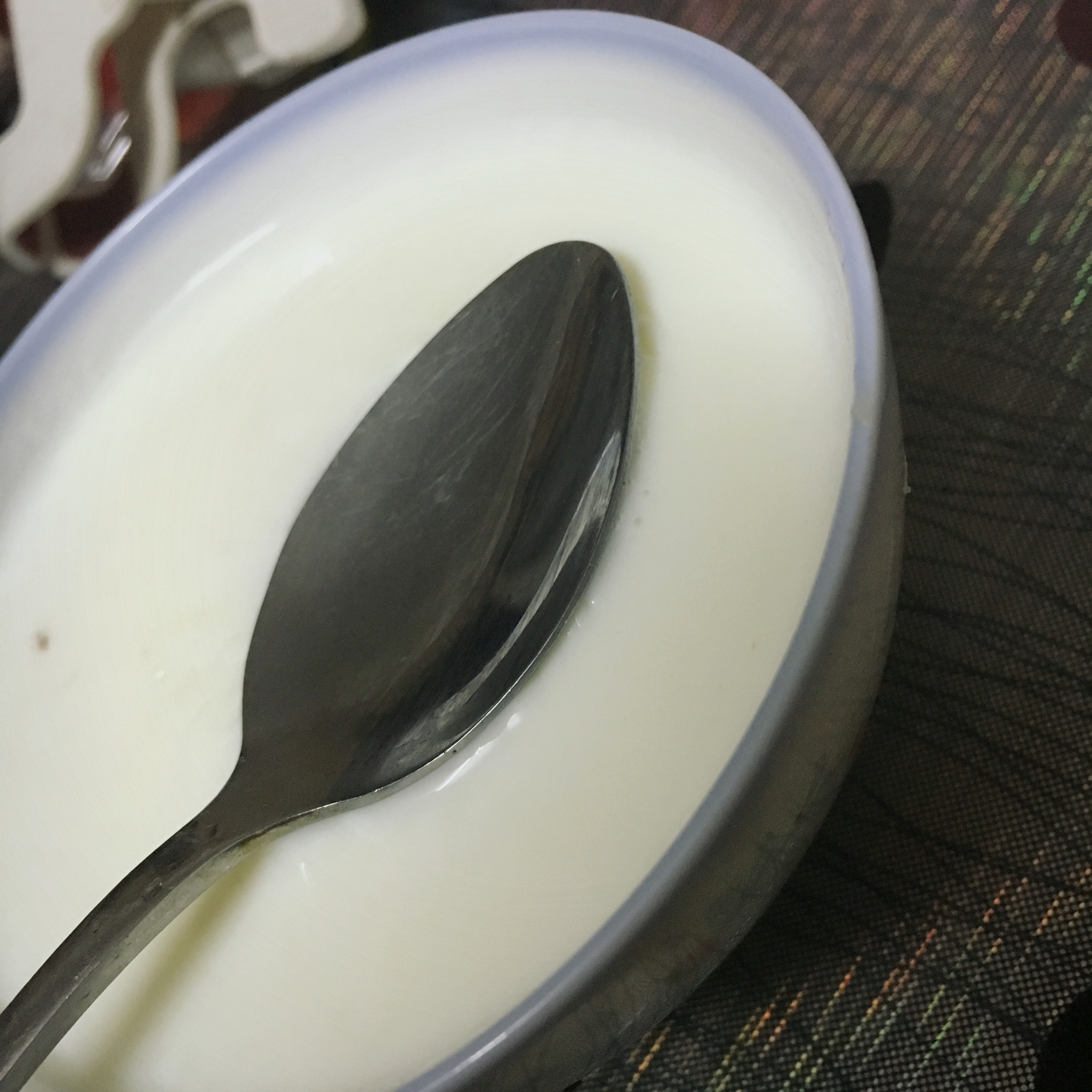 双皮奶