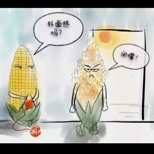 丰富营养的牛奶燕麦片(快手早餐)