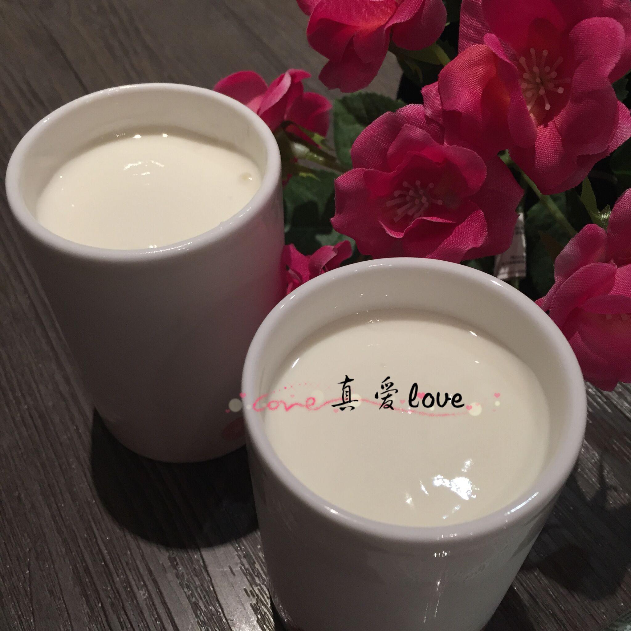 自制好吃的酸奶的做法