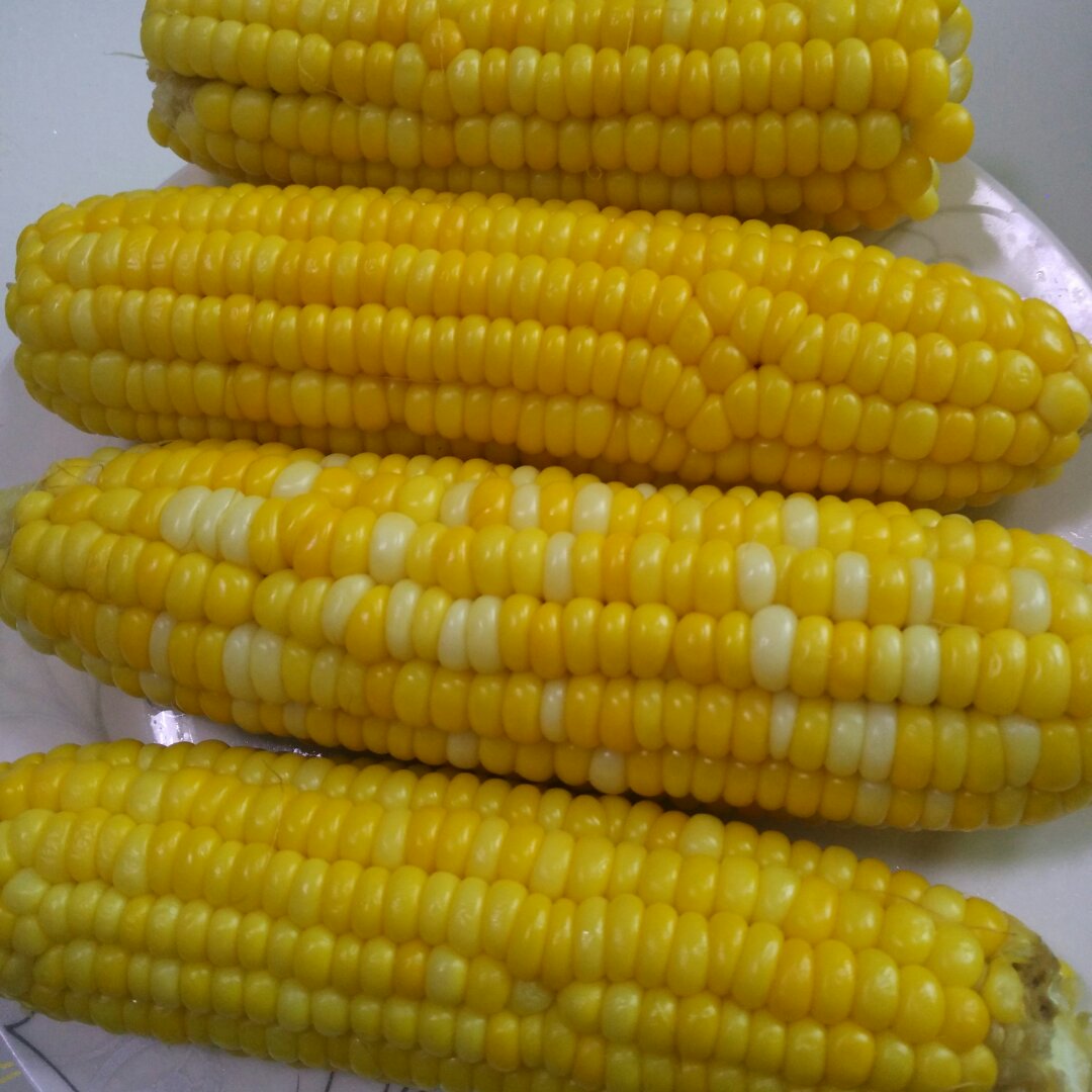 手机用户1938_e2bc做的蒸玉米