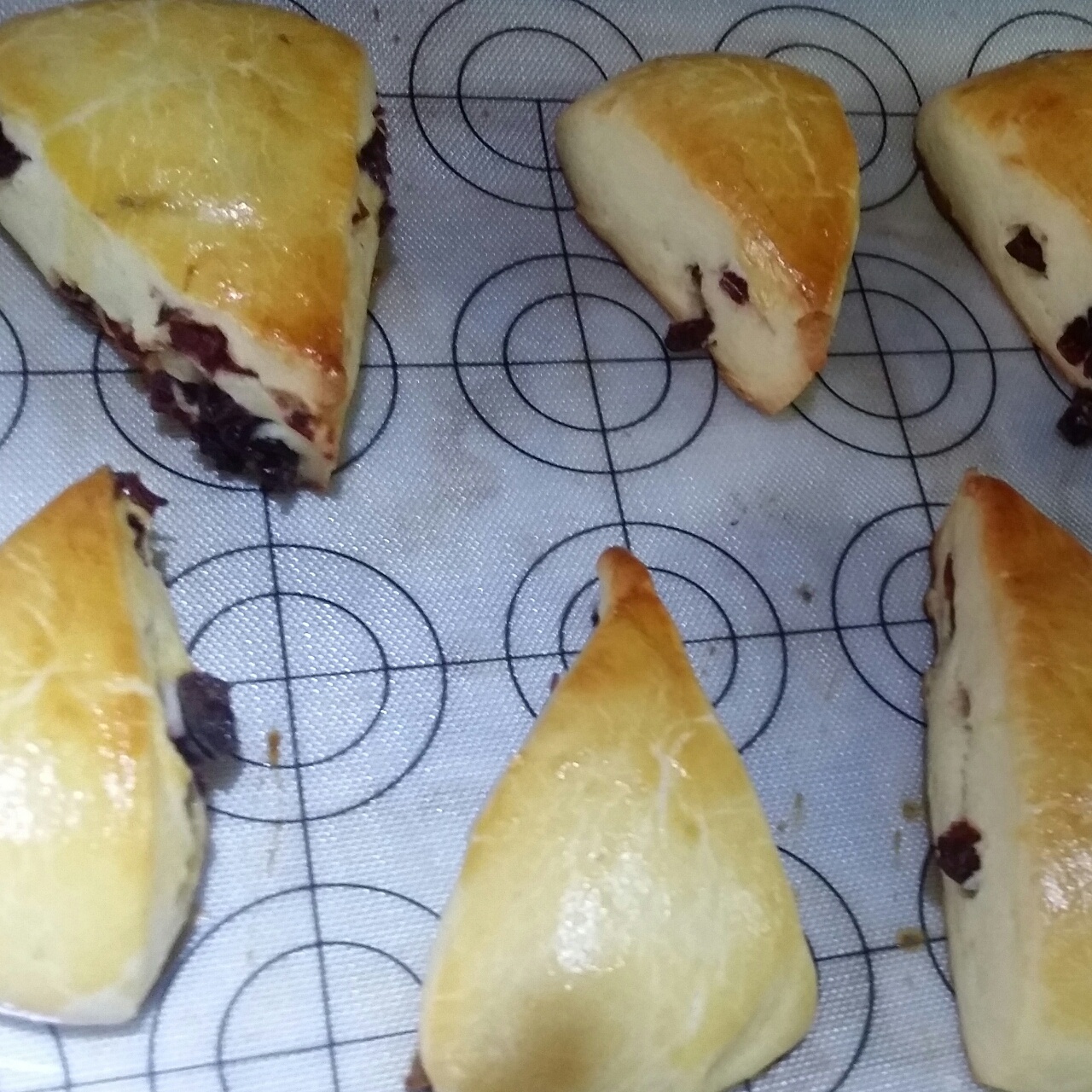 葡萄干司康（酵母版）