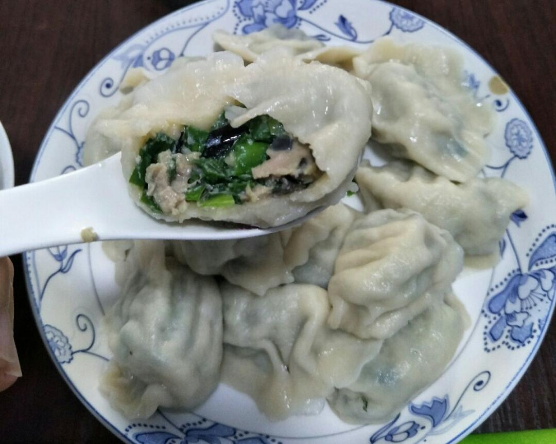 猪肉韭菜地圐圙ku lue（木耳替代）馅饺子