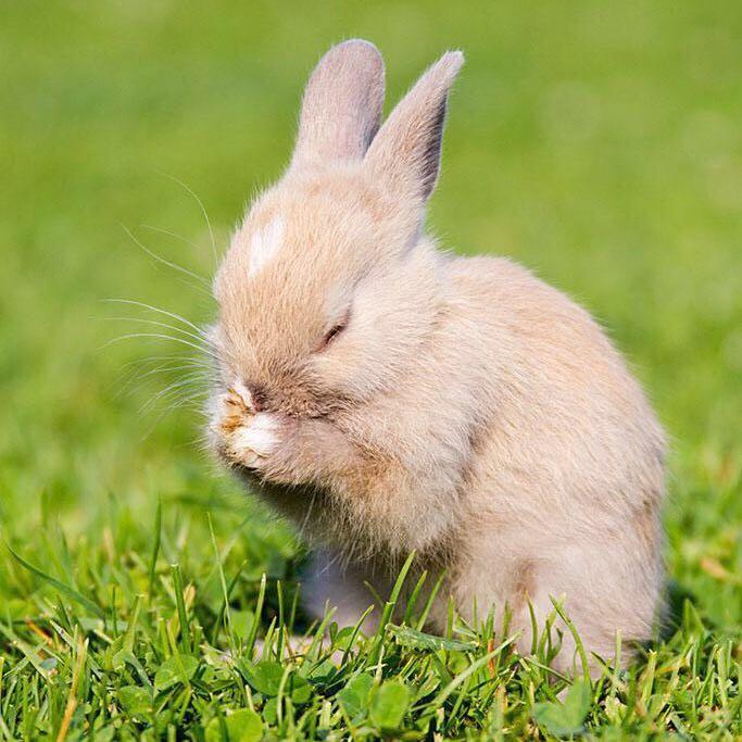 手机用户2858_068k