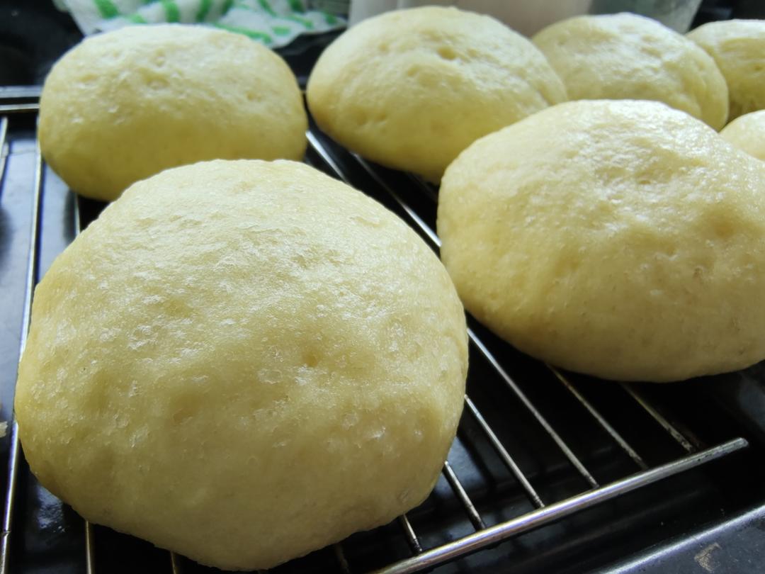 奶香玉米面馒头（一次发酵）