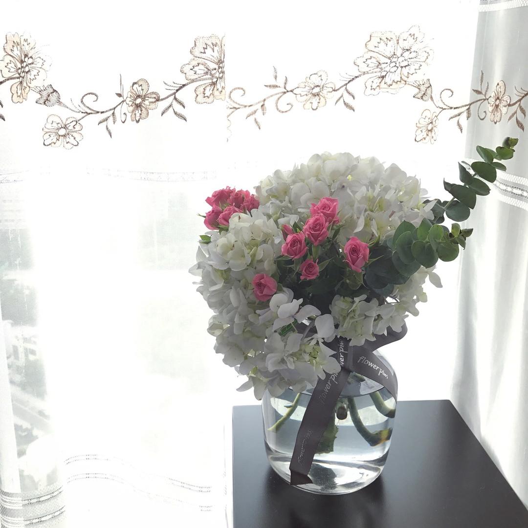 每周一花