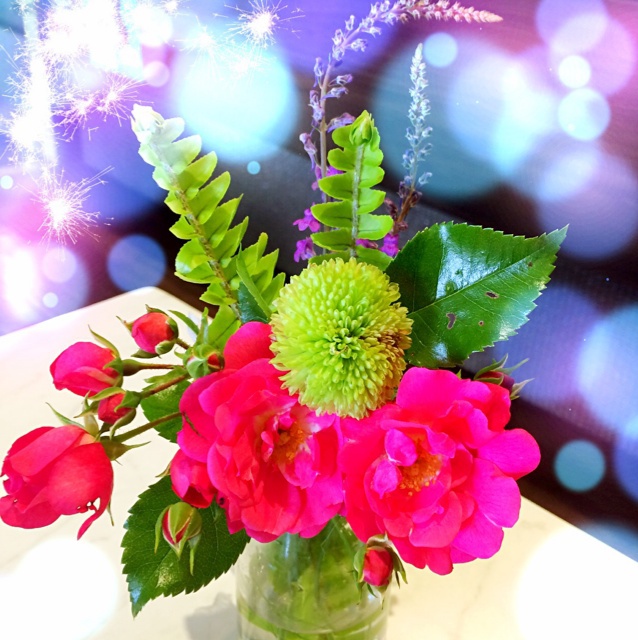 我家的花花草草