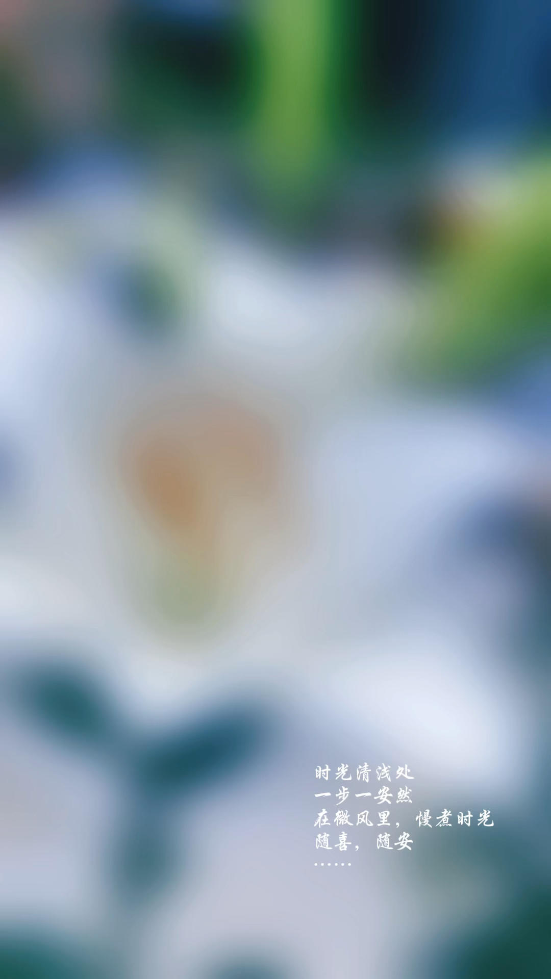 我的小菜园