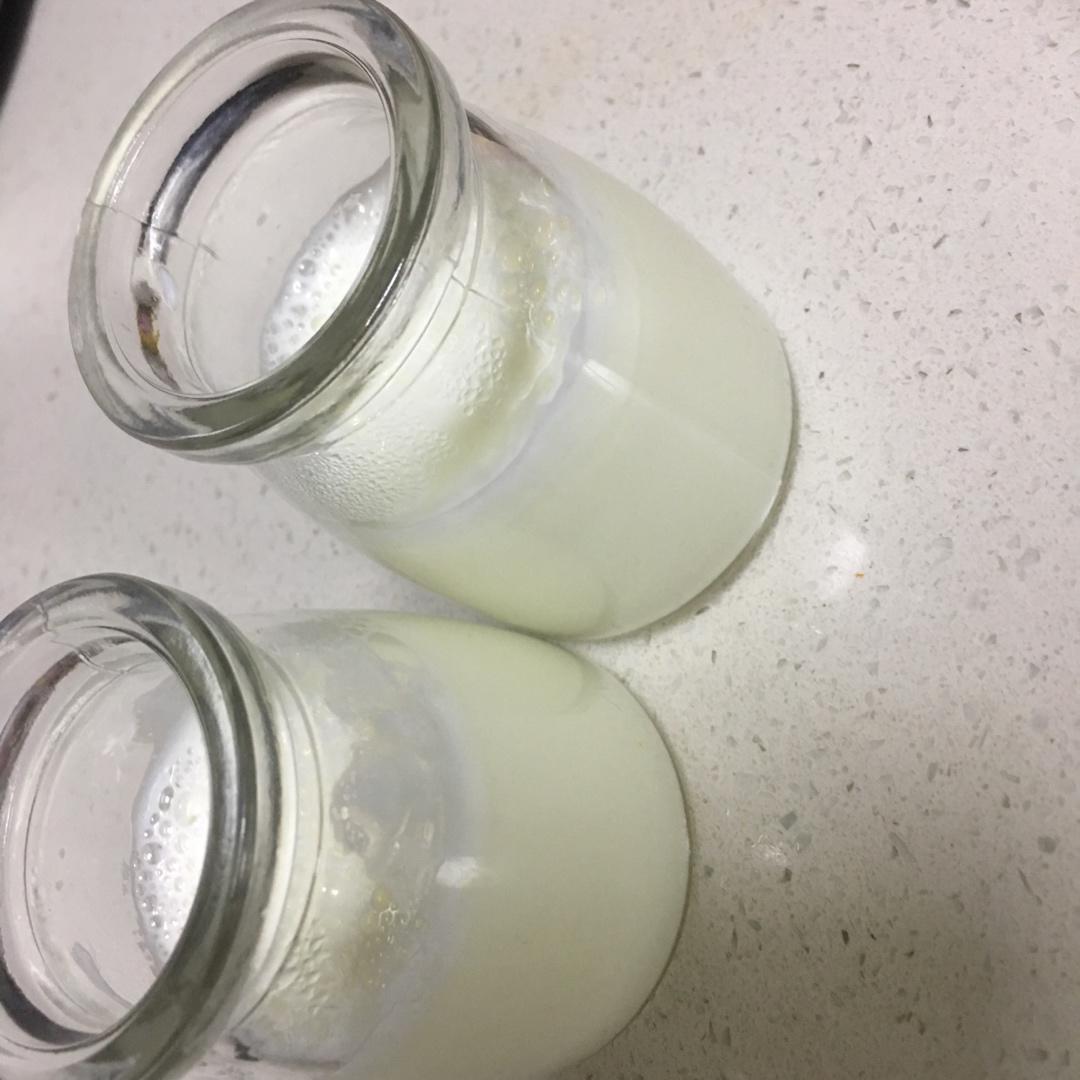 牛奶布丁（白凉粉版免烤）