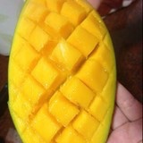 布布啾