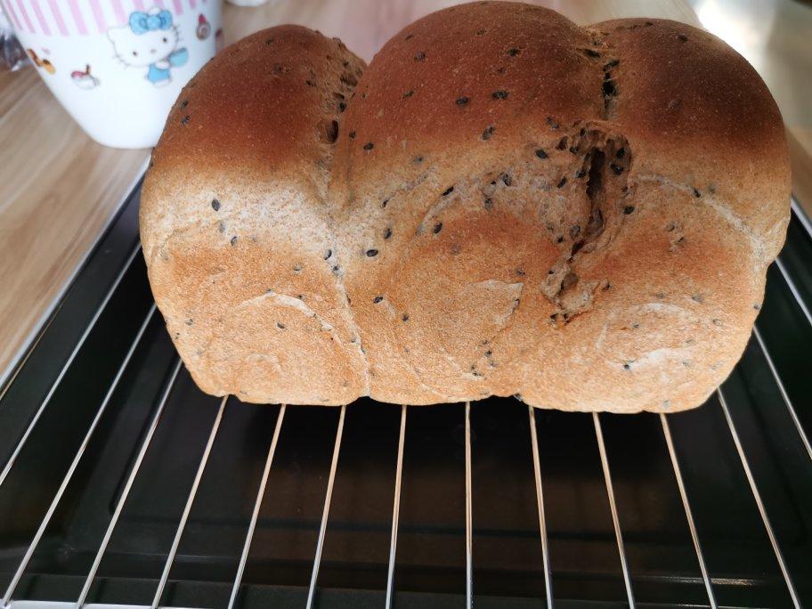 双种芝麻全麦吐司 100%全麦 烫种+波兰种