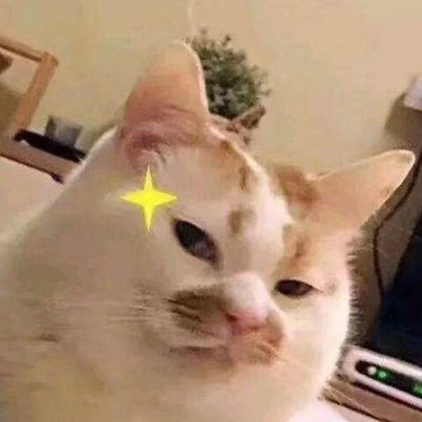 我有两个大胆的想法